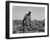 Thirteen-year old sharecropper boy near Americus, Georgia, 1937-Dorothea Lange-Framed Photographic Print