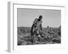 Thirteen-year old sharecropper boy near Americus, Georgia, 1937-Dorothea Lange-Framed Photographic Print