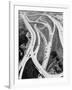 This 1937 Aerial View Shows the Biggest of Highway Crossover Points-null-Framed Photographic Print