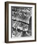 This Aerial View Shows the Site of the Projected Rockefeller Center-null-Framed Photographic Print