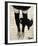 This be Cat-Loui Jover-Framed Art Print