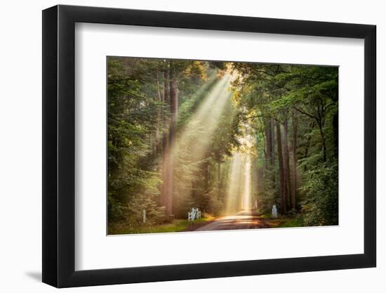 This Beam is Booming-Lars Van de Goor-Framed Photographic Print