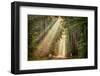 This Beam is Booming-Lars Van de Goor-Framed Photographic Print