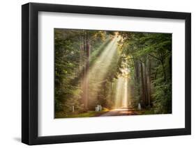 This Beam is Booming-Lars Van de Goor-Framed Photographic Print