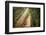 This Beam is Booming-Lars Van de Goor-Framed Photographic Print