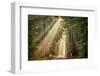 This Beam is Booming-Lars Van de Goor-Framed Photographic Print