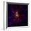 This Chandra X-ray Observatory Image Shows Westerlund 2, a Young Star Cluster-null-Framed Photographic Print