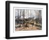 This Civil War Painting Shows Union And Confederate Troops at the Battle of Shiloh-Stocktrek Images-Framed Photographic Print
