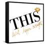 This Didn't Happen Overnight-Gina Ritter-Framed Stretched Canvas