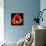 This Dordogne Tulip-Steve Gadomski-Framed Stretched Canvas displayed on a wall