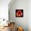 This Dordogne Tulip-Steve Gadomski-Framed Stretched Canvas displayed on a wall