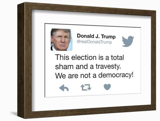 This election is a total sham and travesty. We are not a democracy!-Ephemera-Framed Photographic Print