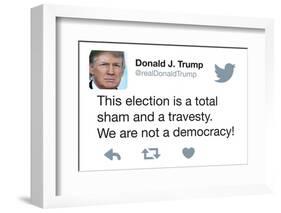 This election is a total sham and travesty. We are not a democracy!-Ephemera-Framed Photographic Print