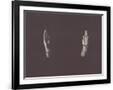 Gramercy Black