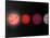 This Figure Shows an Artist's Rendition Comparing Brown Dwarfs to Stars and Planets-Stocktrek Images-Stretched Canvas