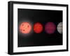 This Figure Shows an Artist's Rendition Comparing Brown Dwarfs to Stars and Planets-Stocktrek Images-Framed Premium Photographic Print