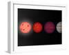 This Figure Shows an Artist's Rendition Comparing Brown Dwarfs to Stars and Planets-Stocktrek Images-Framed Premium Photographic Print