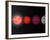 This Figure Shows an Artist's Rendition Comparing Brown Dwarfs to Stars and Planets-Stocktrek Images-Framed Photographic Print