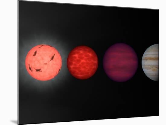 This Figure Shows an Artist's Rendition Comparing Brown Dwarfs to Stars and Planets-Stocktrek Images-Mounted Photographic Print
