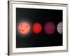 This Figure Shows an Artist's Rendition Comparing Brown Dwarfs to Stars and Planets-Stocktrek Images-Framed Photographic Print