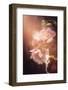 This Fine Feeling-Philippe Sainte-Laudy-Framed Photographic Print