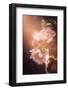 This Fine Feeling-Philippe Sainte-Laudy-Framed Photographic Print