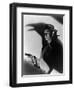 This Gun for Hire, 1942-null-Framed Photographic Print