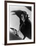 This Gun for Hire, 1942-null-Framed Photographic Print