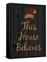 This House Believes III-N. Harbick-Framed Stretched Canvas