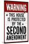 This House Protected By the Second Amendment Poster-null-Mounted Poster