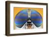 This Image is from the 1X Innovations Collection.-Donald Jusa-Framed Photographic Print