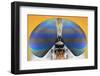 This Image is from the 1X Innovations Collection.-Donald Jusa-Framed Photographic Print