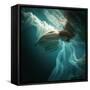 This Image is from the 1X Innovations Collection.-Dmitry Laudin-Framed Stretched Canvas