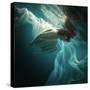 This Image is from the 1X Innovations Collection.-Dmitry Laudin-Stretched Canvas