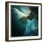 This Image is from the 1X Innovations Collection.-Dmitry Laudin-Framed Photographic Print