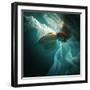 This Image is from the 1X Innovations Collection.-Dmitry Laudin-Framed Photographic Print