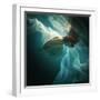 This Image is from the 1X Innovations Collection.-Dmitry Laudin-Framed Photographic Print