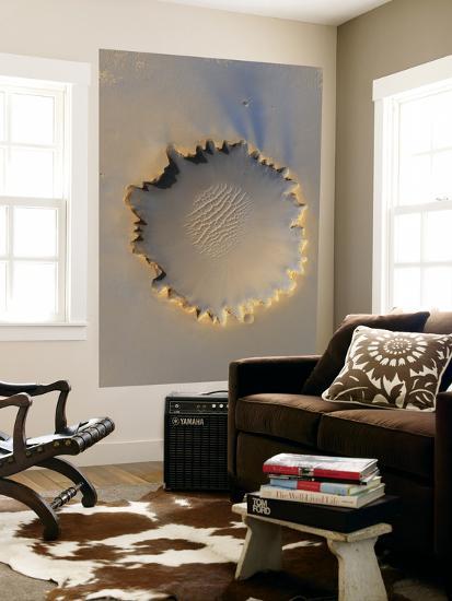 Giant Art Print, , large