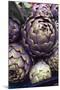 This is a Close-Up Shot of Fresh Artichokes in Rome's Market at Campo Dei'fiori.-Gabriel Scott-Mounted Photographic Print