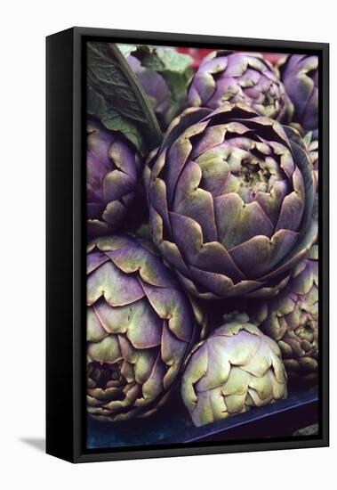 This is a Close-Up Shot of Fresh Artichokes in Rome's Market at Campo Dei'fiori.-Gabriel Scott-Framed Stretched Canvas
