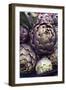 This is a Close-Up Shot of Fresh Artichokes in Rome's Market at Campo Dei'fiori.-Gabriel Scott-Framed Photographic Print