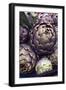This is a Close-Up Shot of Fresh Artichokes in Rome's Market at Campo Dei'fiori.-Gabriel Scott-Framed Photographic Print