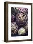 This is a Close-Up Shot of Fresh Artichokes in Rome's Market at Campo Dei'fiori.-Gabriel Scott-Framed Photographic Print