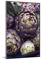 This is a Close-Up Shot of Fresh Artichokes in Rome's Market at Campo Dei'fiori.-Gabriel Scott-Mounted Photographic Print