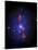 This is a New Composite Image of Galaxy Cluster MS0735.6+7421-Stocktrek Images-Stretched Canvas