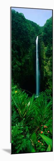 This Is Akaka Falls State Park. the Falls are 442 Feet Long. it Is Located North of Hilo-null-Mounted Photographic Print
