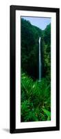 This Is Akaka Falls State Park. the Falls are 442 Feet Long. it Is Located North of Hilo-null-Framed Photographic Print