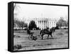 This is an Undated View of the White House Building-null-Framed Stretched Canvas