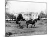 This is an Undated View of the White House Building-null-Mounted Photographic Print