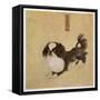 This is How the Pekingese Dog Looked in Its Native China as Depicted in an Imperial Dog Book-null-Framed Stretched Canvas